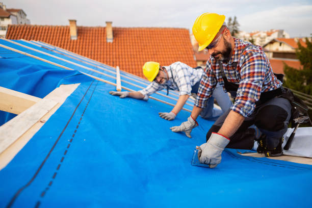Best Roof Moss and Algae Removal  in Macedonia, OH